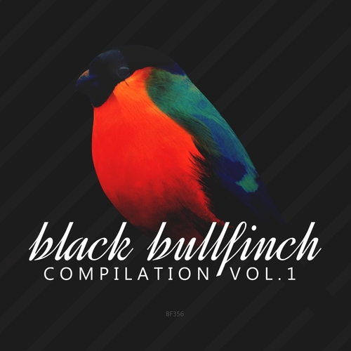 VA - Black Bullfinch Compilation, Vol. 1 [BF356]